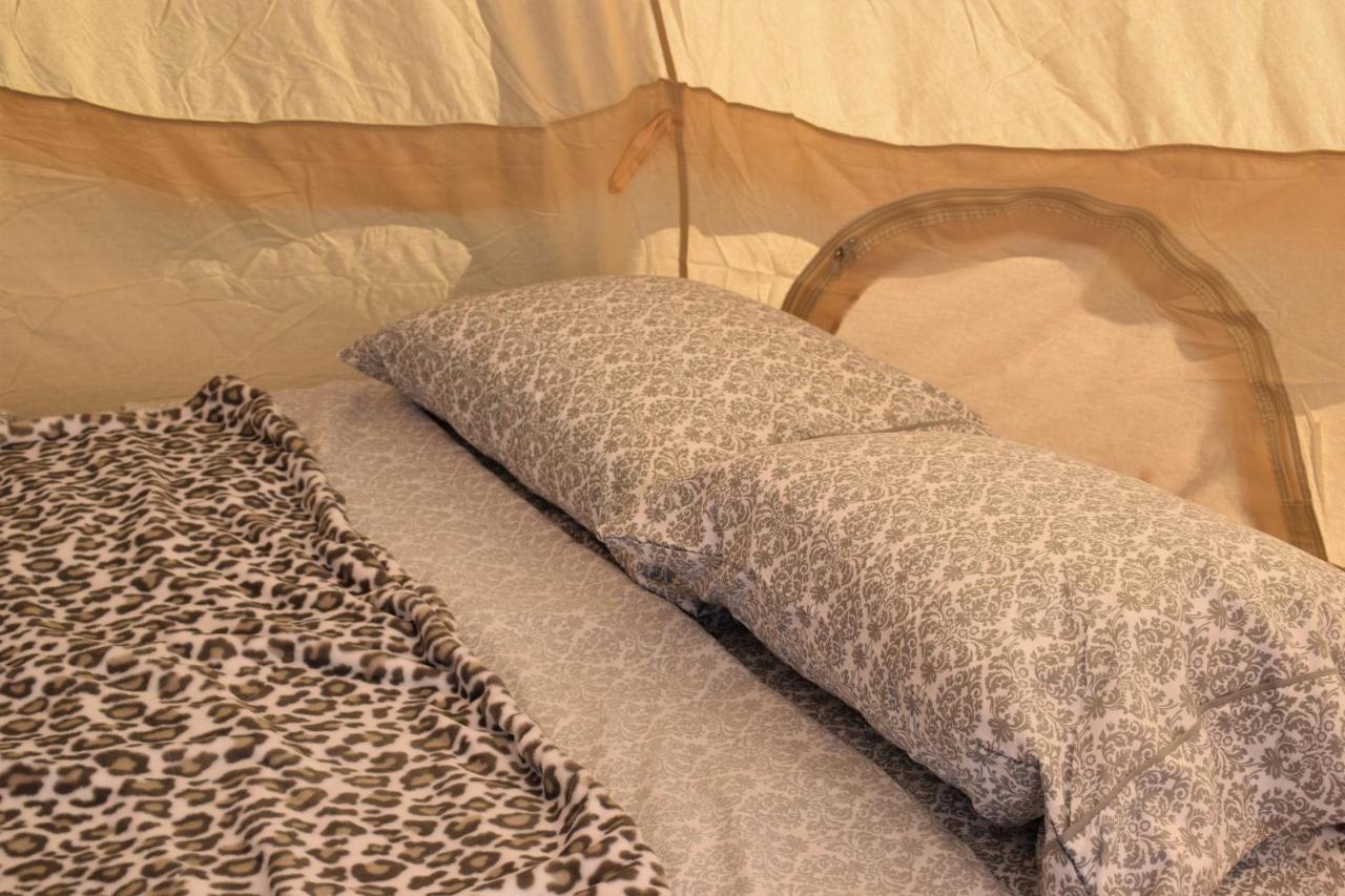 Starlight Tent 1 Holbrook Extérieur photo