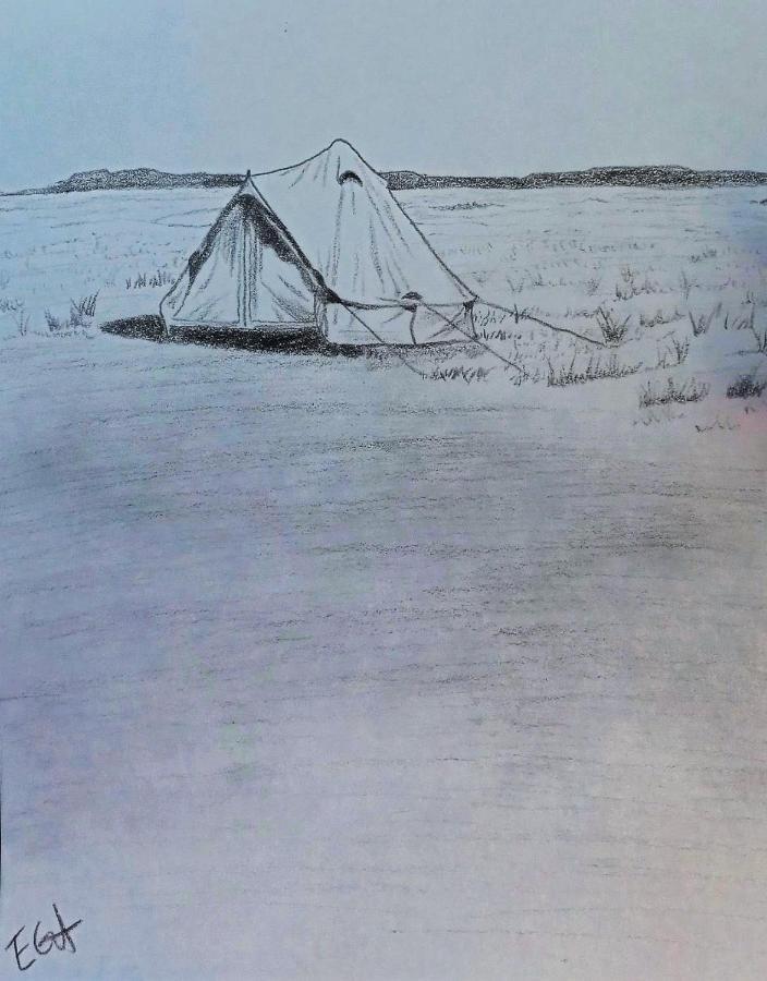 Starlight Tent 1 Holbrook Extérieur photo